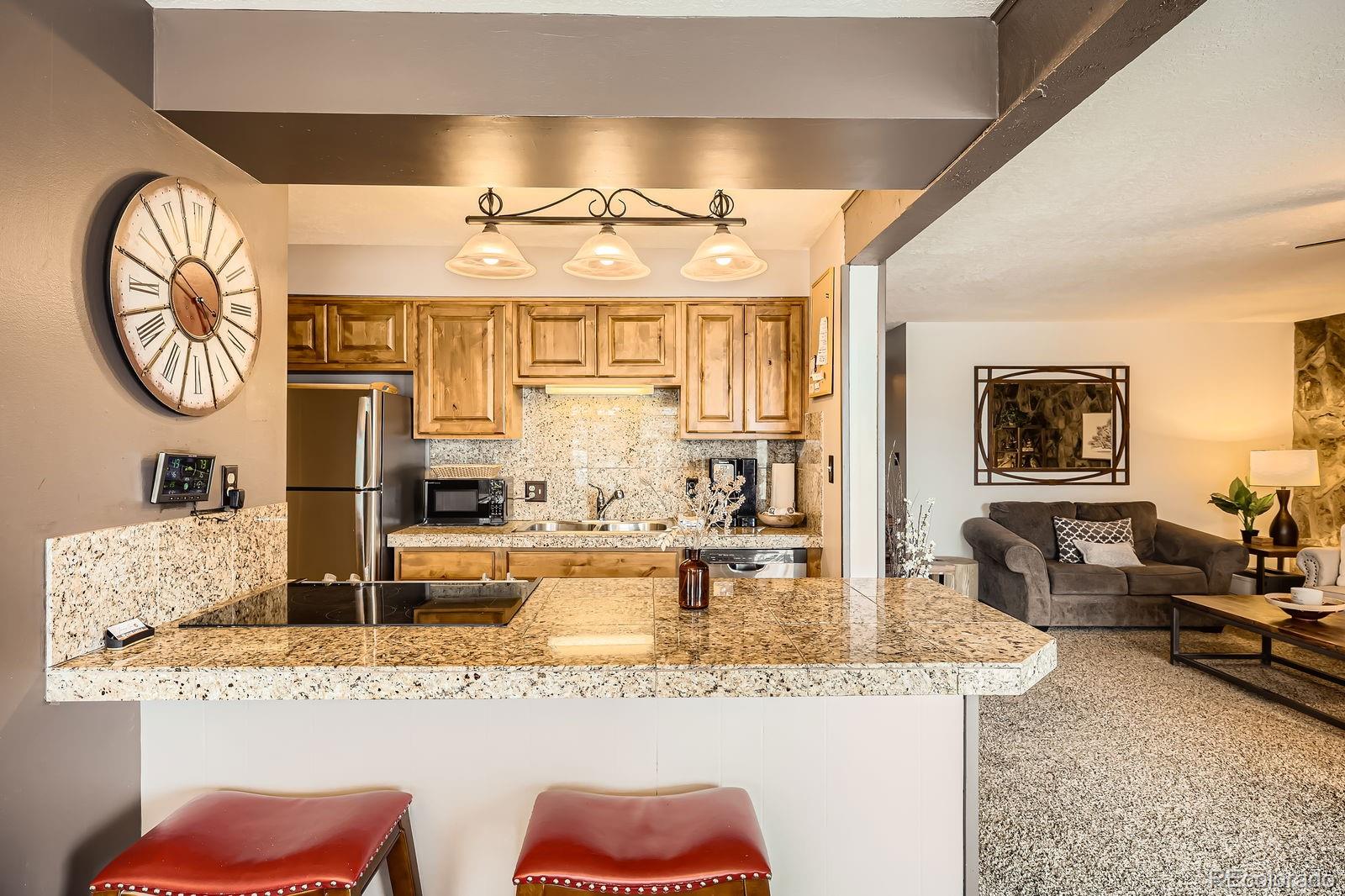 MLS Image #12 for 120 e la bonte street,dillon, Colorado