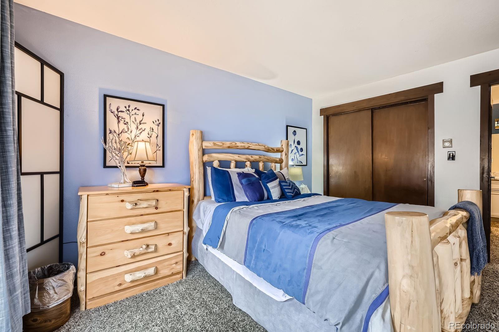 MLS Image #19 for 120 e la bonte street,dillon, Colorado