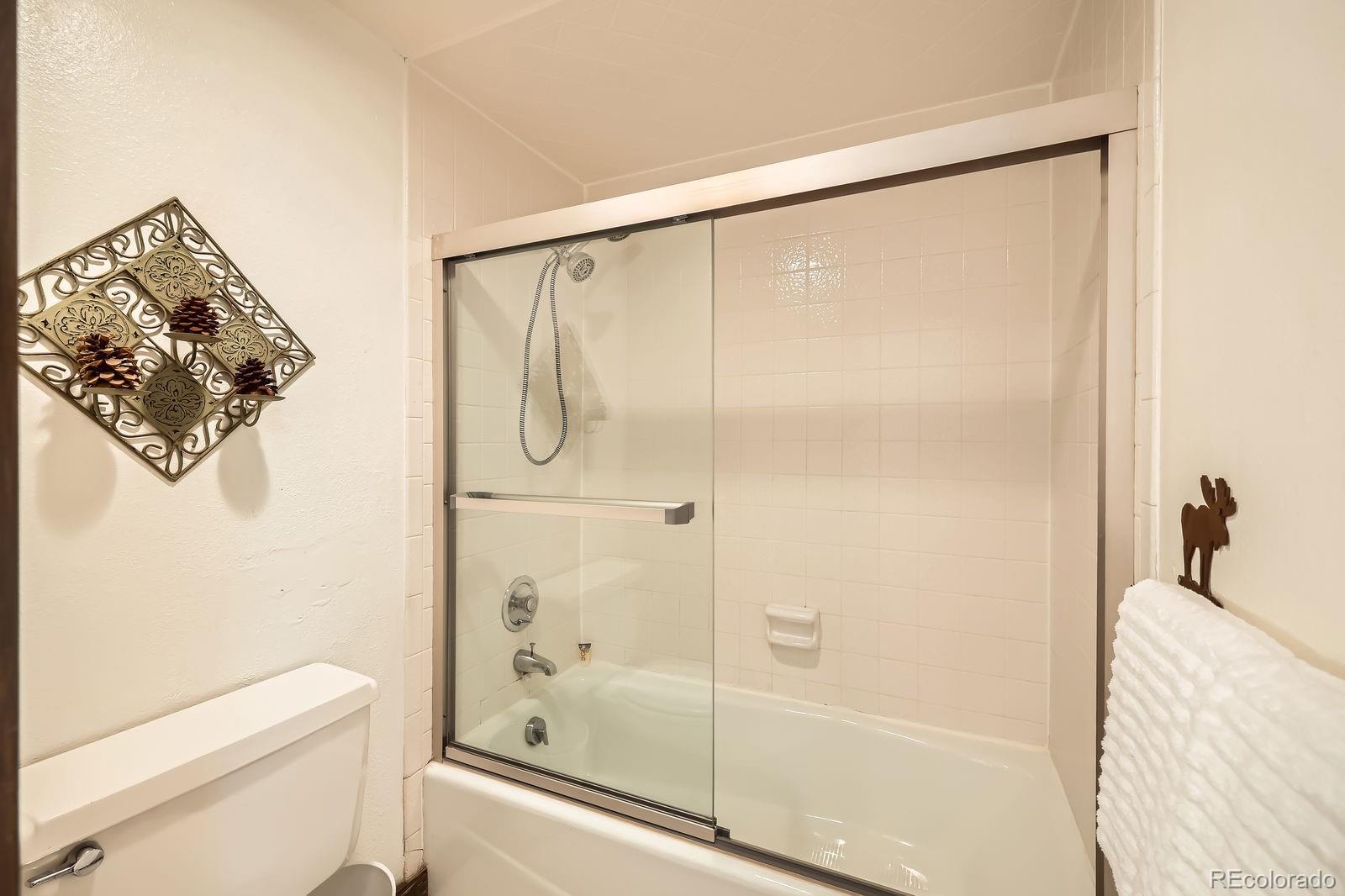 MLS Image #22 for 120 e la bonte street,dillon, Colorado
