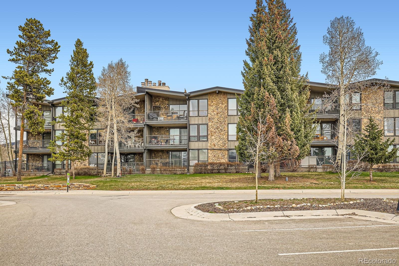 MLS Image #3 for 120 e la bonte street,dillon, Colorado