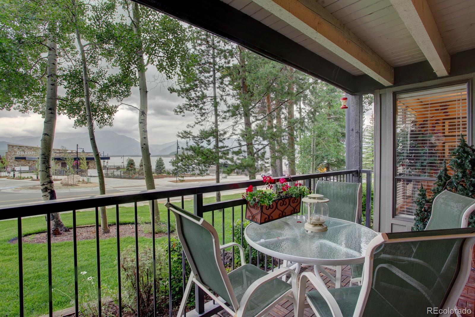 MLS Image #32 for 120 e la bonte street,dillon, Colorado