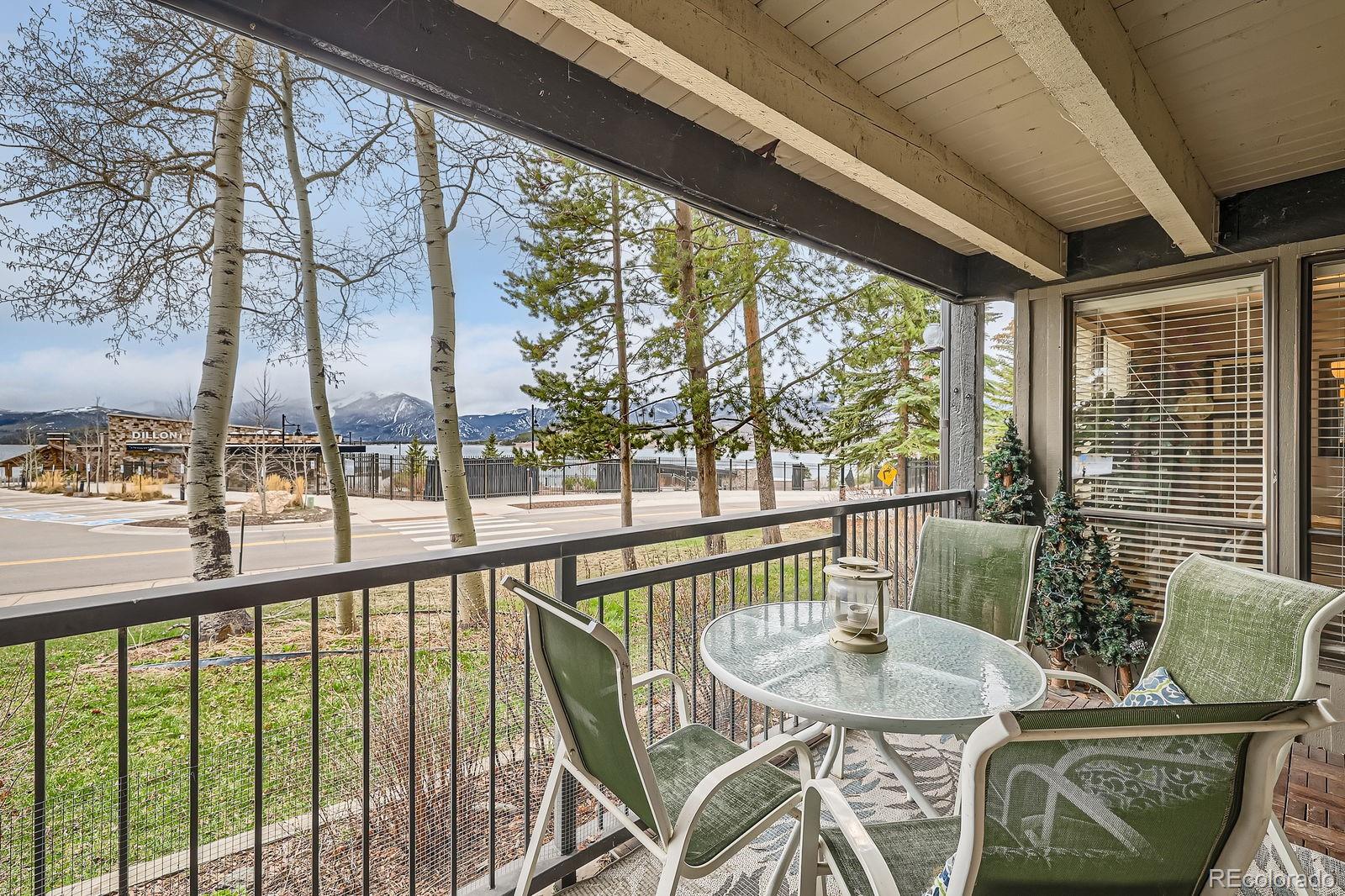 MLS Image #4 for 120 e la bonte street,dillon, Colorado