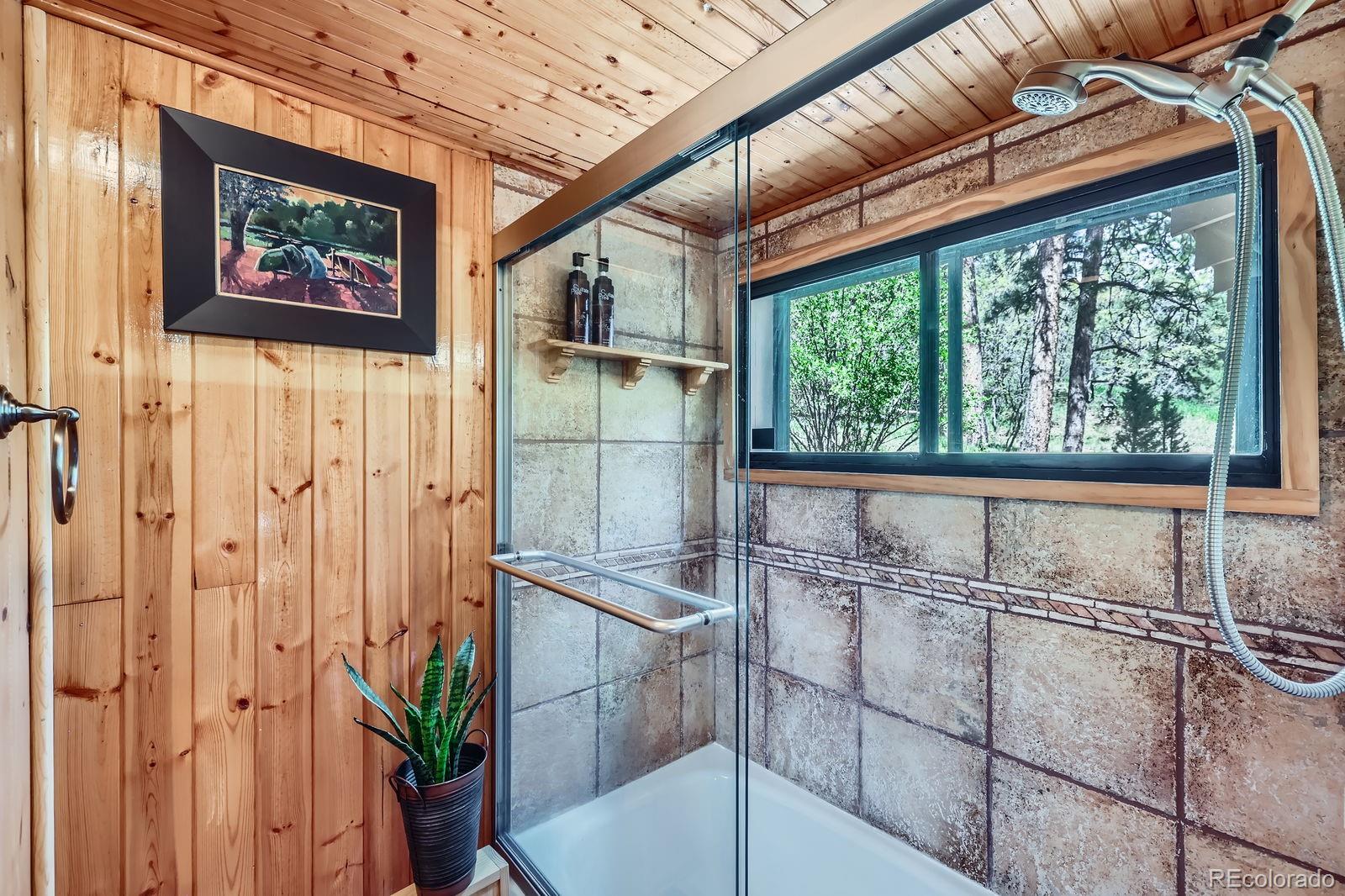 MLS Image #19 for 9935  fountain road,cascade, Colorado