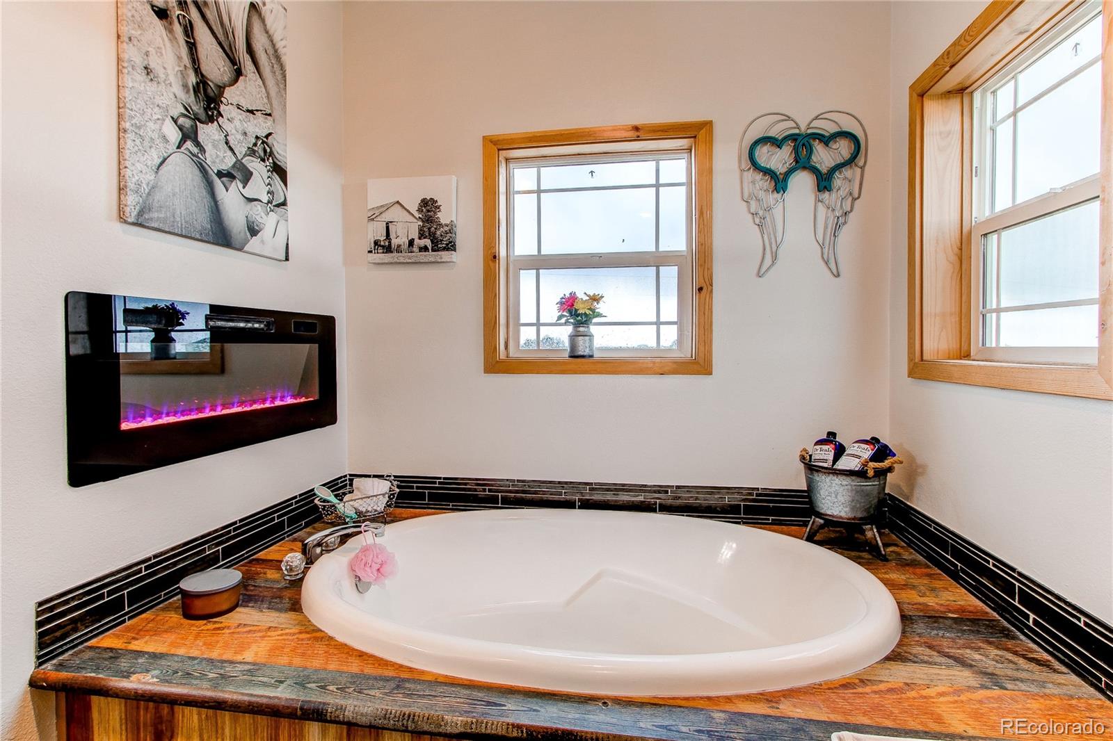 MLS Image #18 for 42919  vista ridge,parker, Colorado