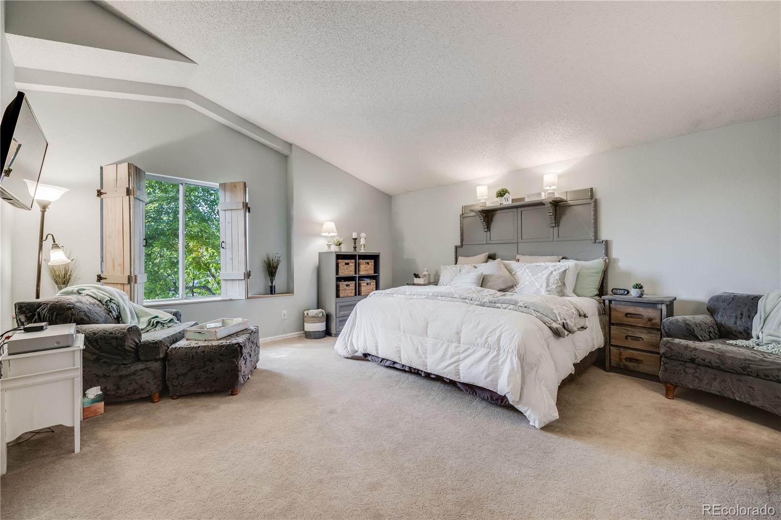 MLS Image #16 for 11760  eudora court,thornton, Colorado