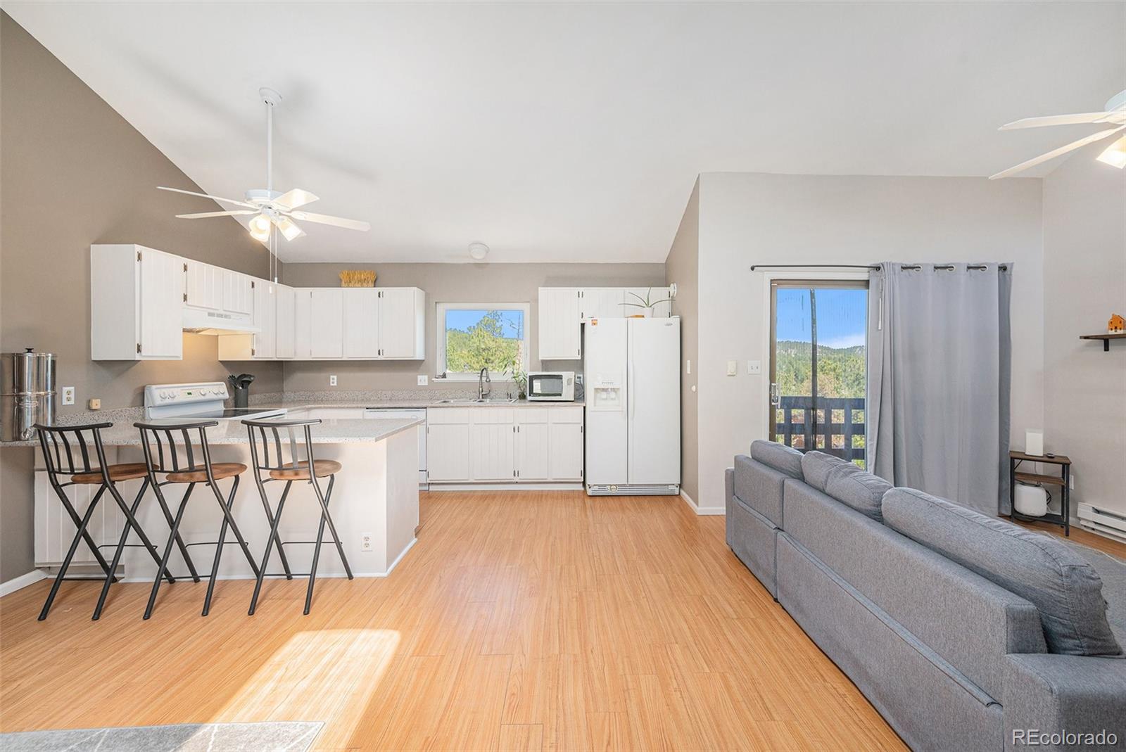 MLS Image #6 for 30819  hilltop drive,evergreen, Colorado