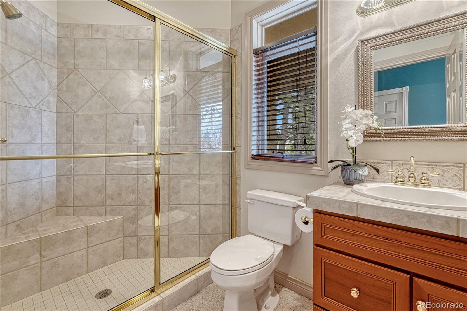 MLS Image #27 for 16150  cliffrock court,colorado springs, Colorado