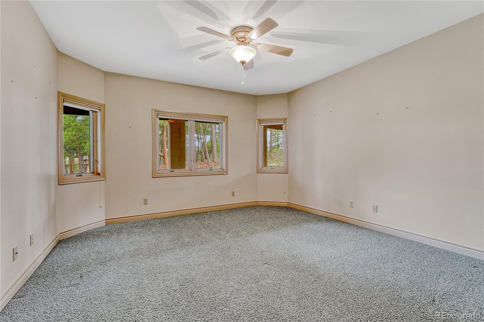 MLS Image #42 for 16150  cliffrock court,colorado springs, Colorado