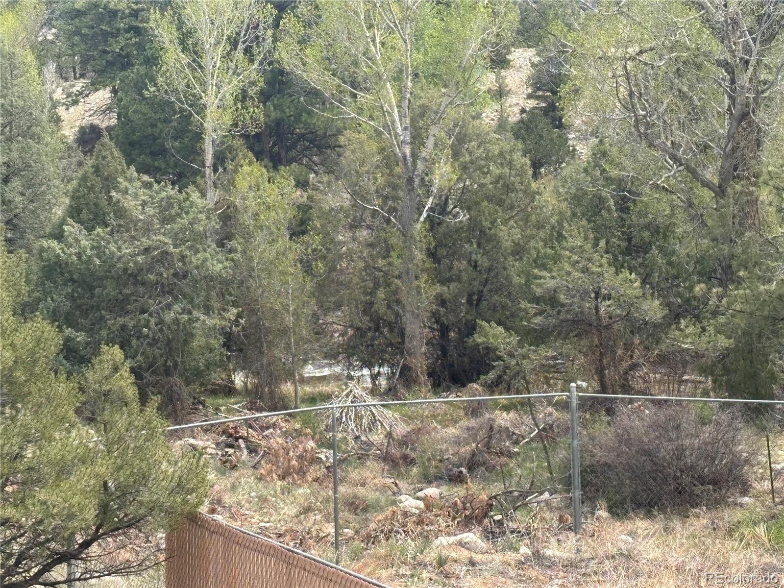MLS Image #24 for 10795  county road 197 a ,nathrop, Colorado