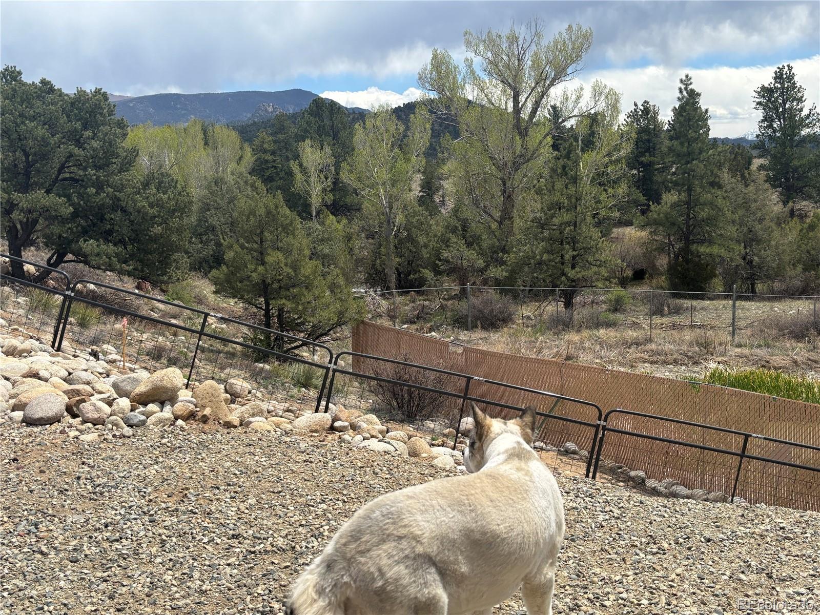 MLS Image #25 for 10795  county road 197 a ,nathrop, Colorado