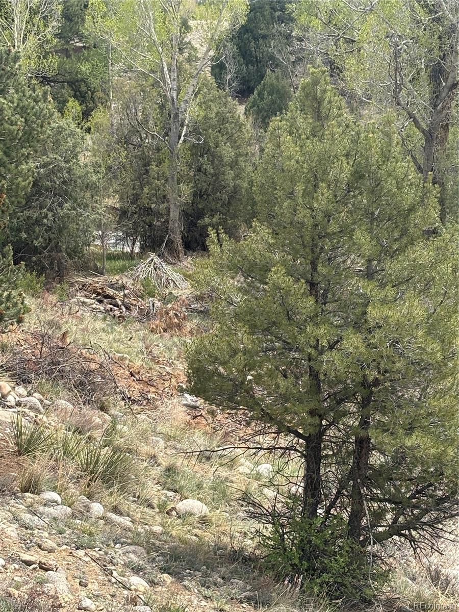 MLS Image #38 for 10795  county road 197 a ,nathrop, Colorado