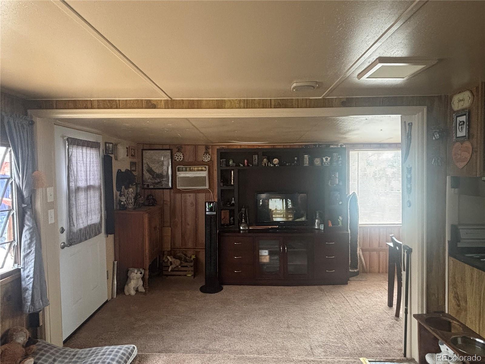 MLS Image #9 for 10795  county road 197 a ,nathrop, Colorado
