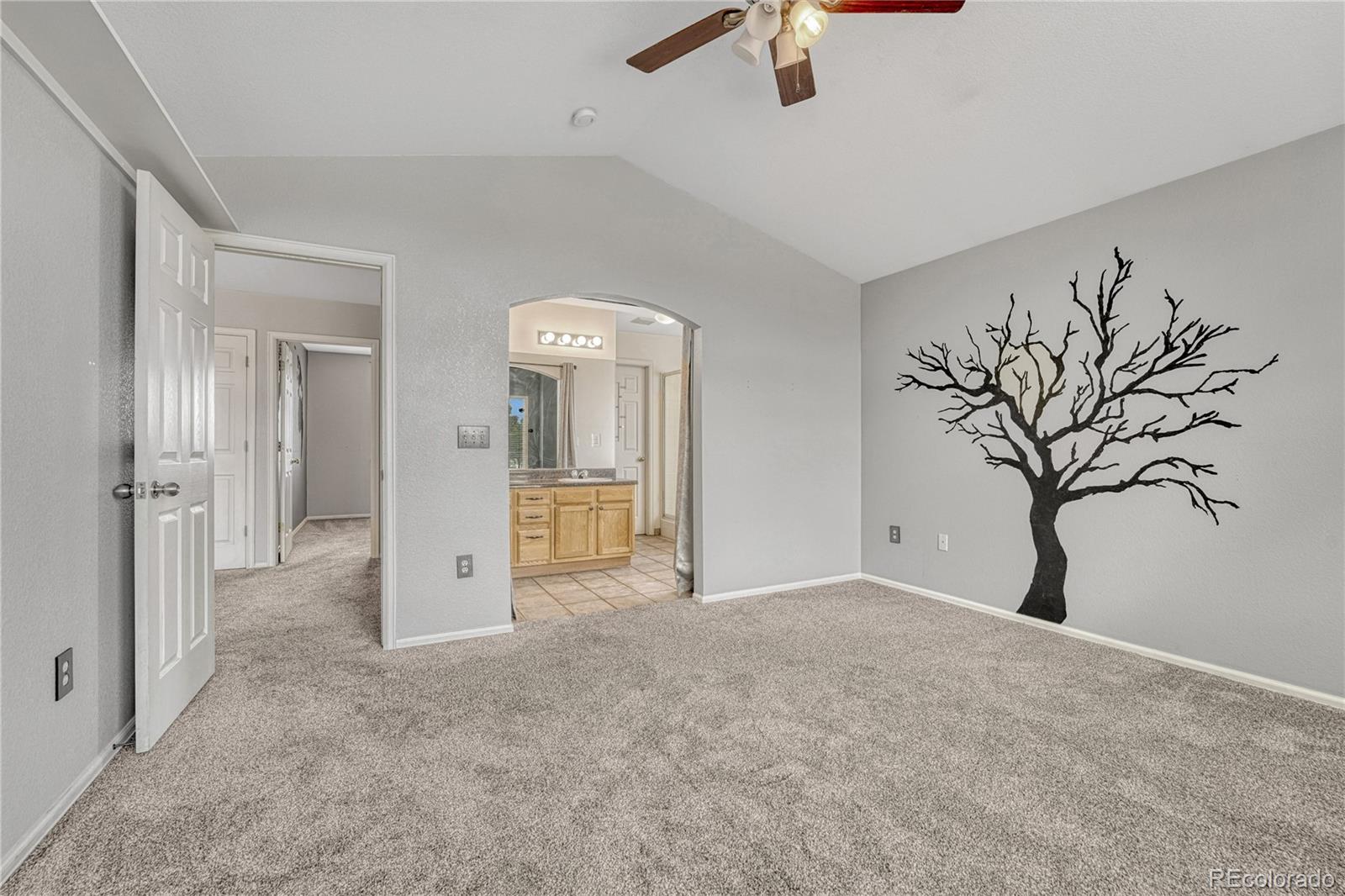 MLS Image #17 for 3630  sawgrass trail,castle rock, Colorado
