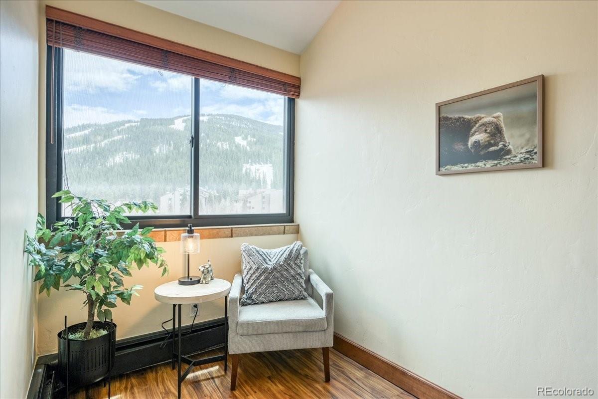 MLS Image #18 for 189  ten mile circle,frisco, Colorado