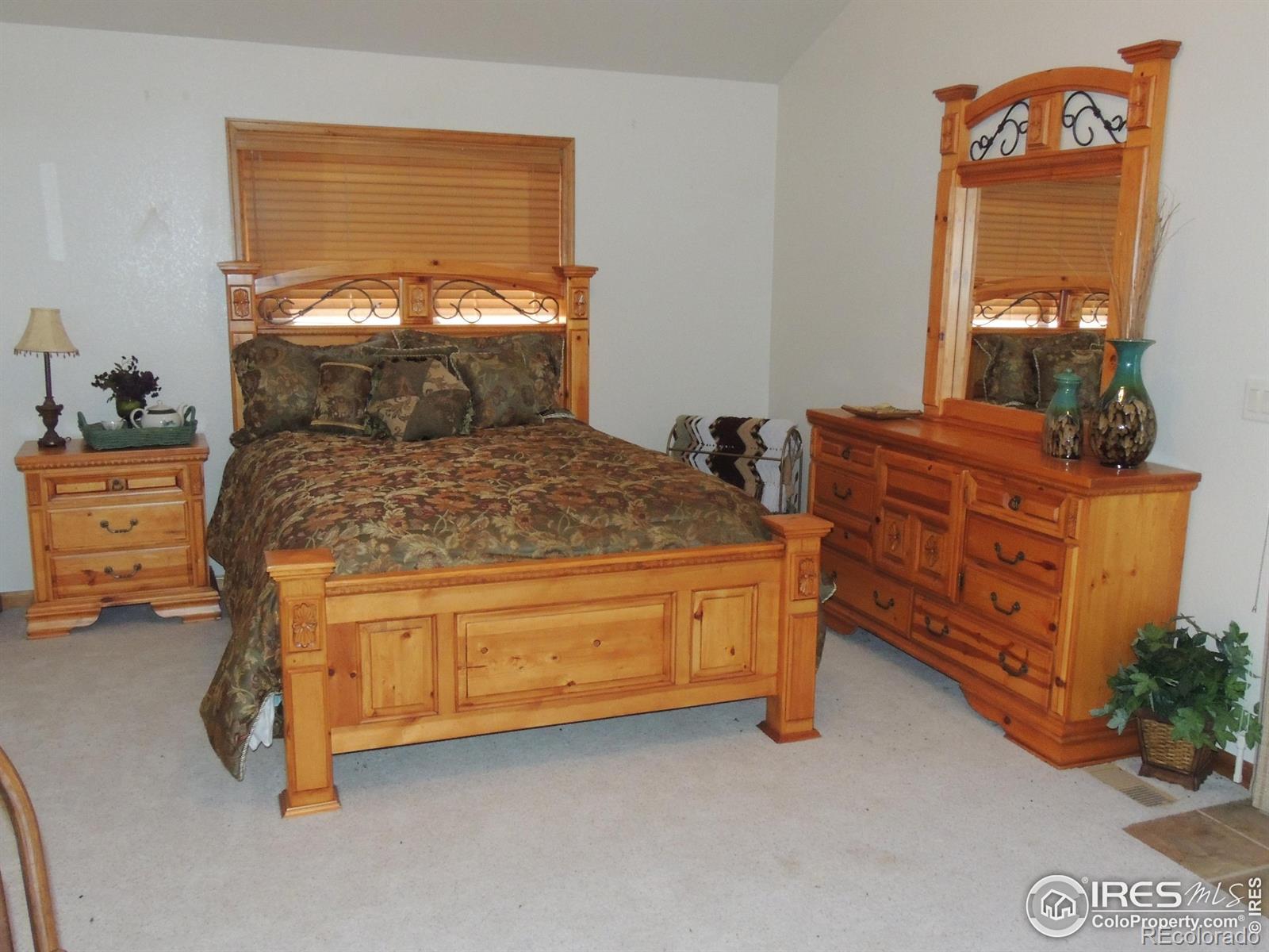 MLS Image #10 for 128  deer springs lane,livermore, Colorado