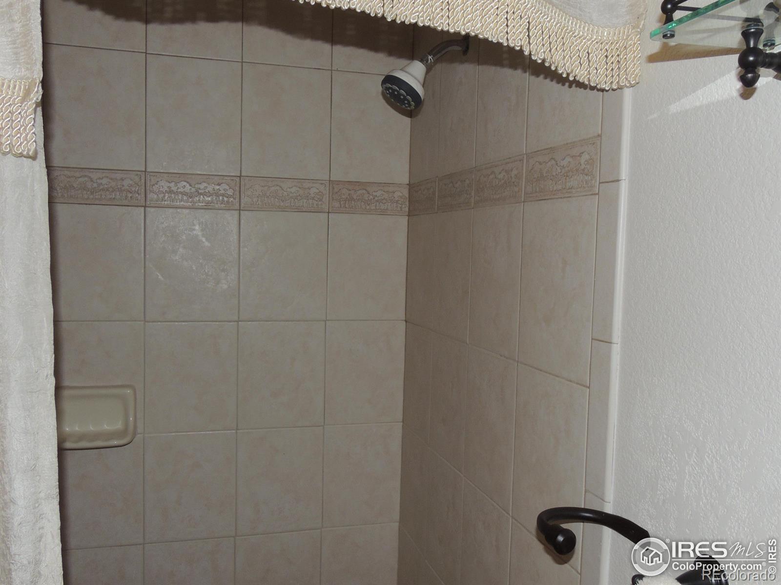 MLS Image #15 for 128  deer springs lane,livermore, Colorado