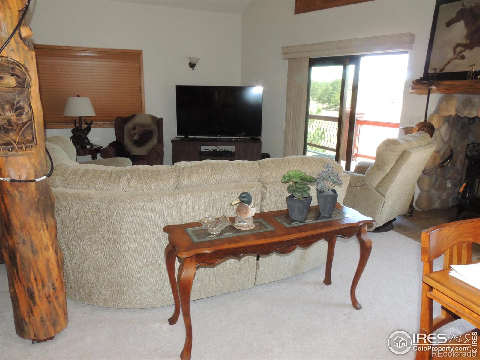 MLS Image #22 for 128  deer springs lane,livermore, Colorado