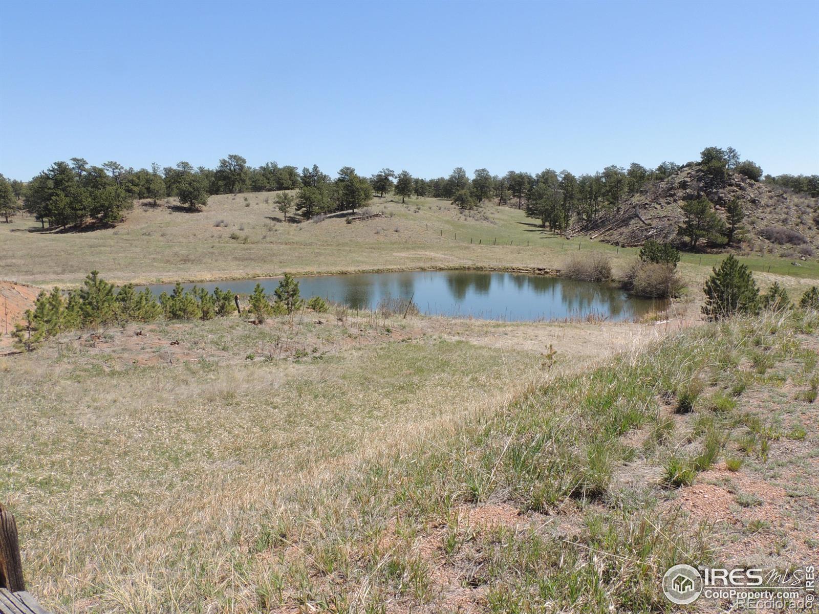 MLS Image #3 for 128  deer springs lane,livermore, Colorado