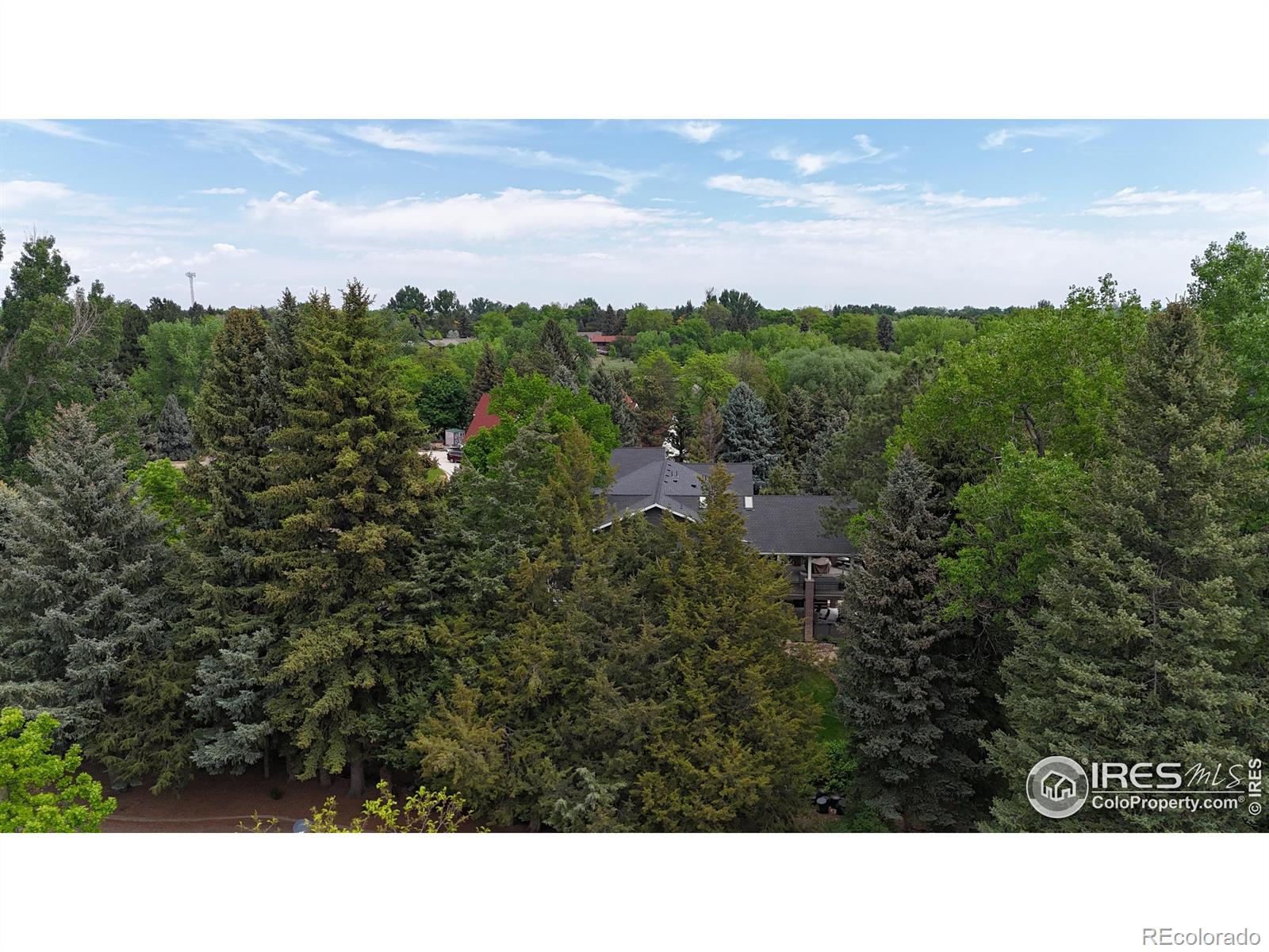 MLS Image #33 for 128  deer springs lane,livermore, Colorado