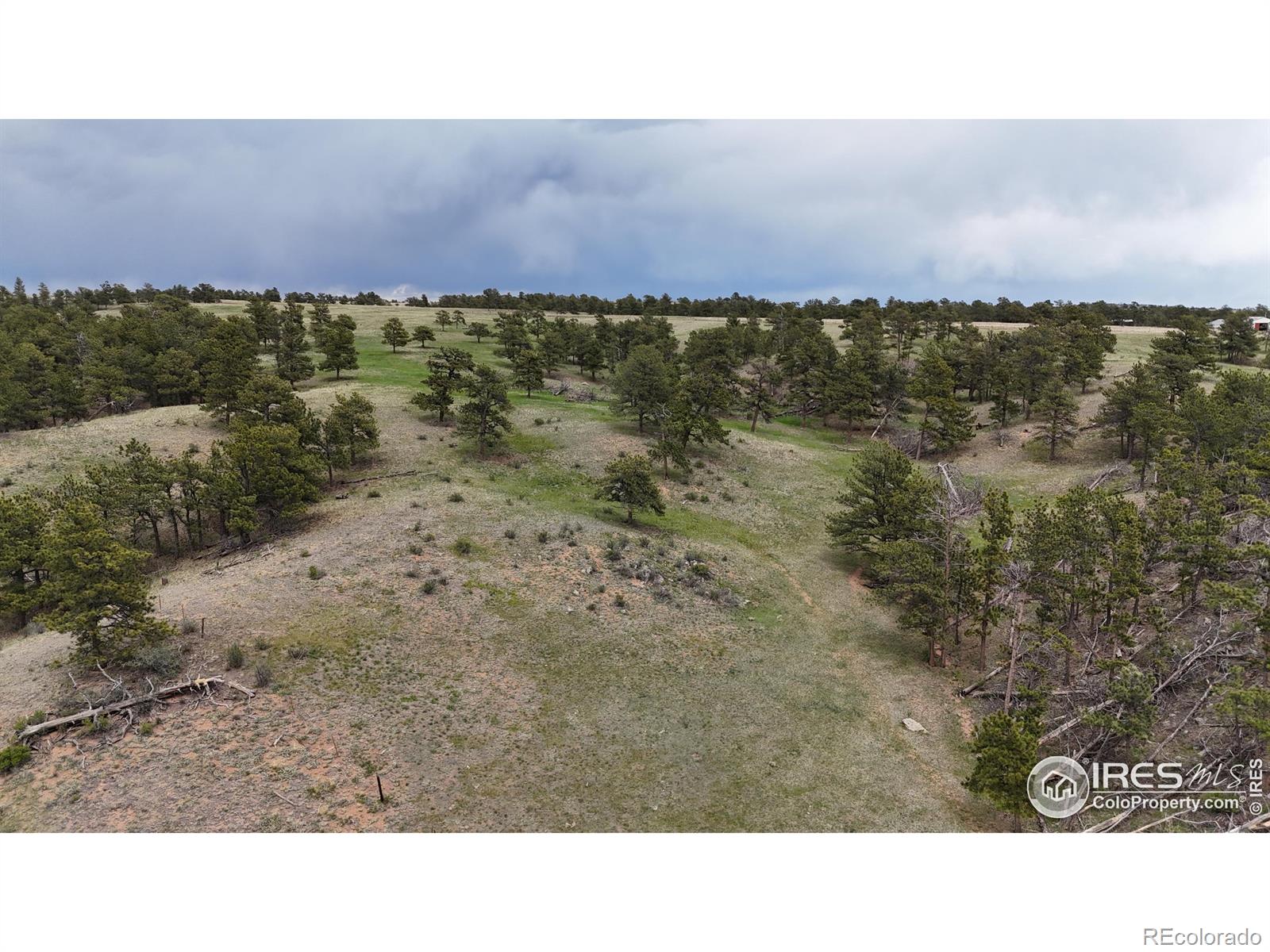 MLS Image #37 for 128  deer springs lane,livermore, Colorado
