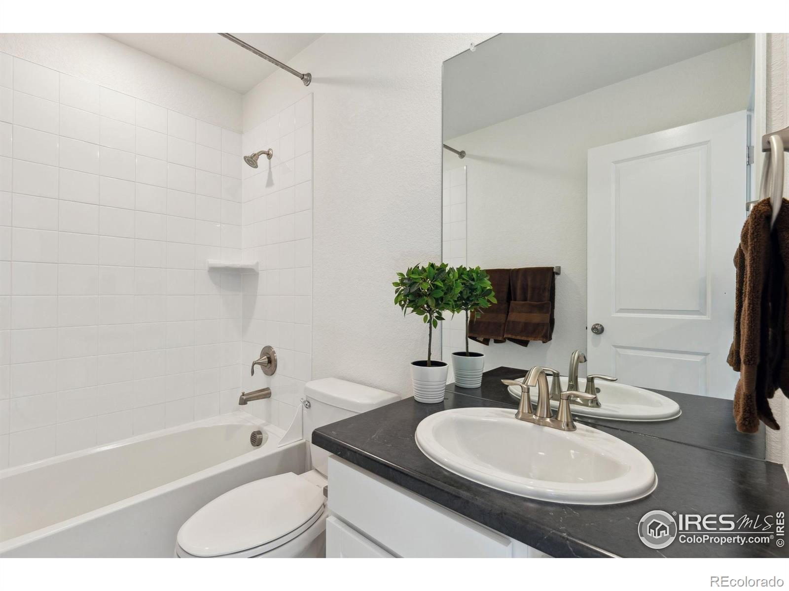 MLS Image #14 for 17692  olive street,broomfield, Colorado
