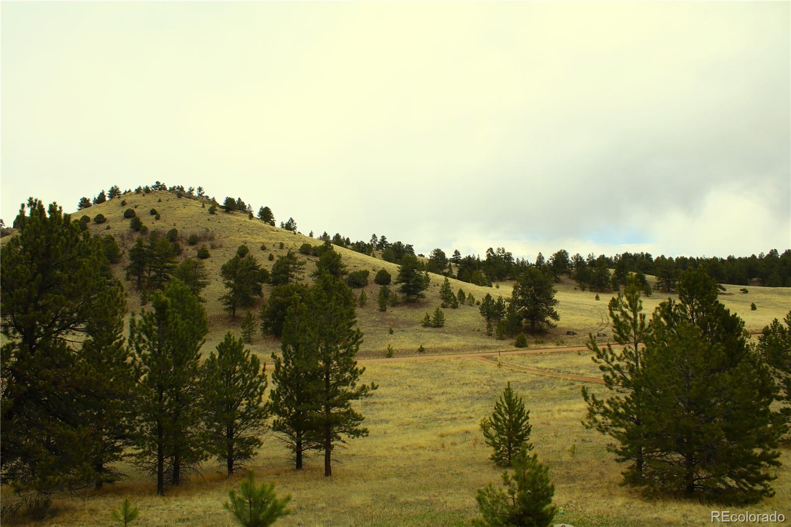 MLS Image #11 for 770  county rd 122 ,guffey, Colorado