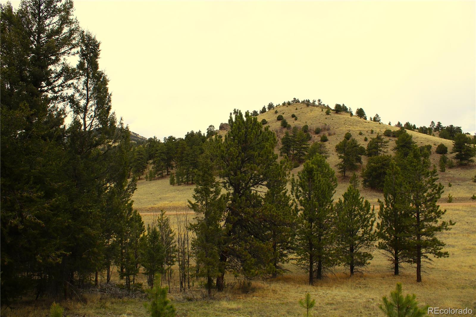 MLS Image #12 for 770  county rd 122 ,guffey, Colorado