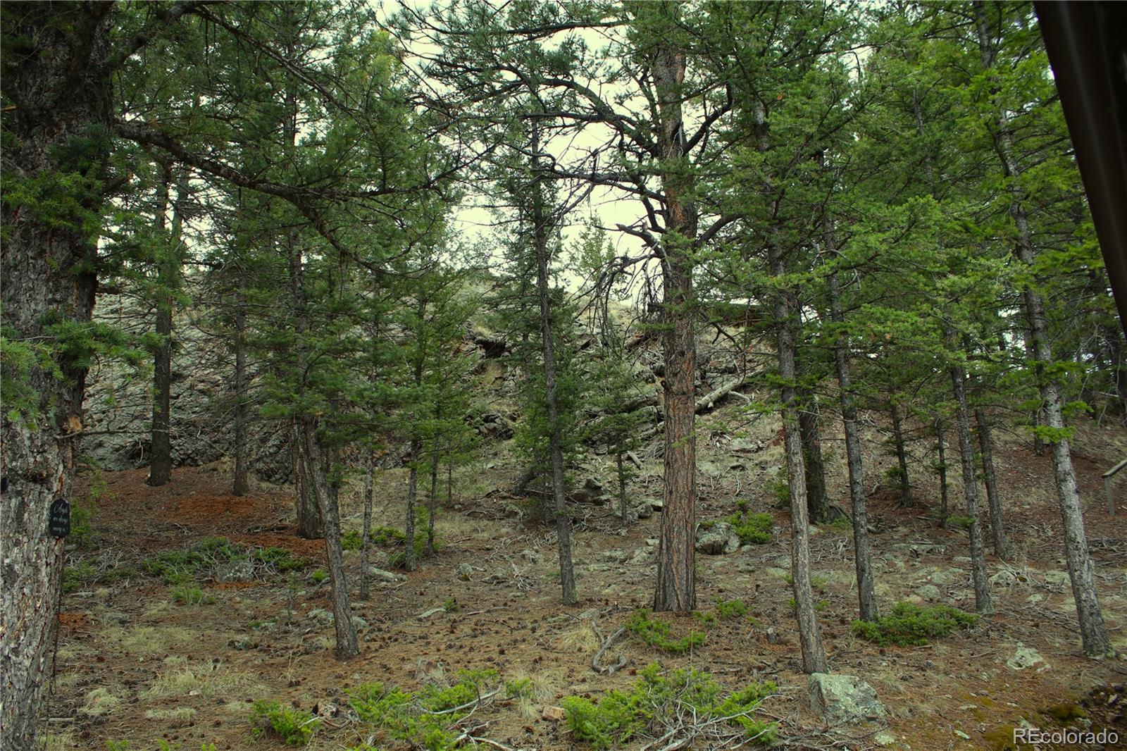 MLS Image #13 for 770  county rd 122 ,guffey, Colorado