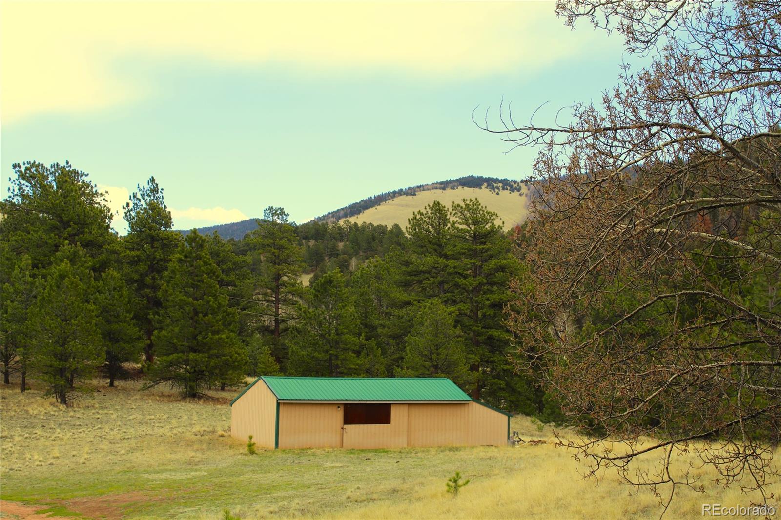 MLS Image #9 for 770  county rd 122 ,guffey, Colorado