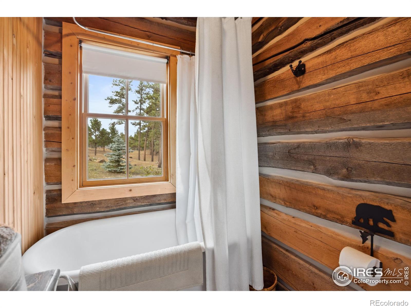 MLS Image #11 for 250  el arbol drive,bellvue, Colorado