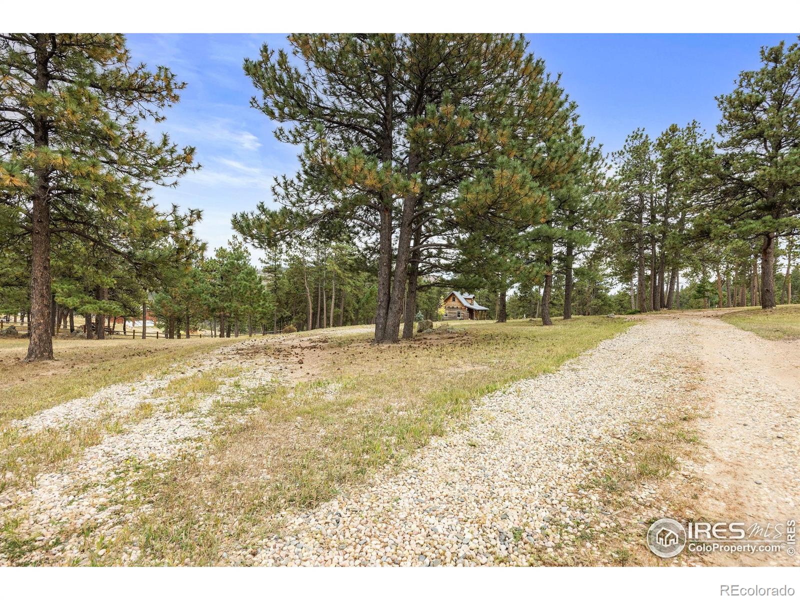 MLS Image #24 for 250  el arbol drive,bellvue, Colorado