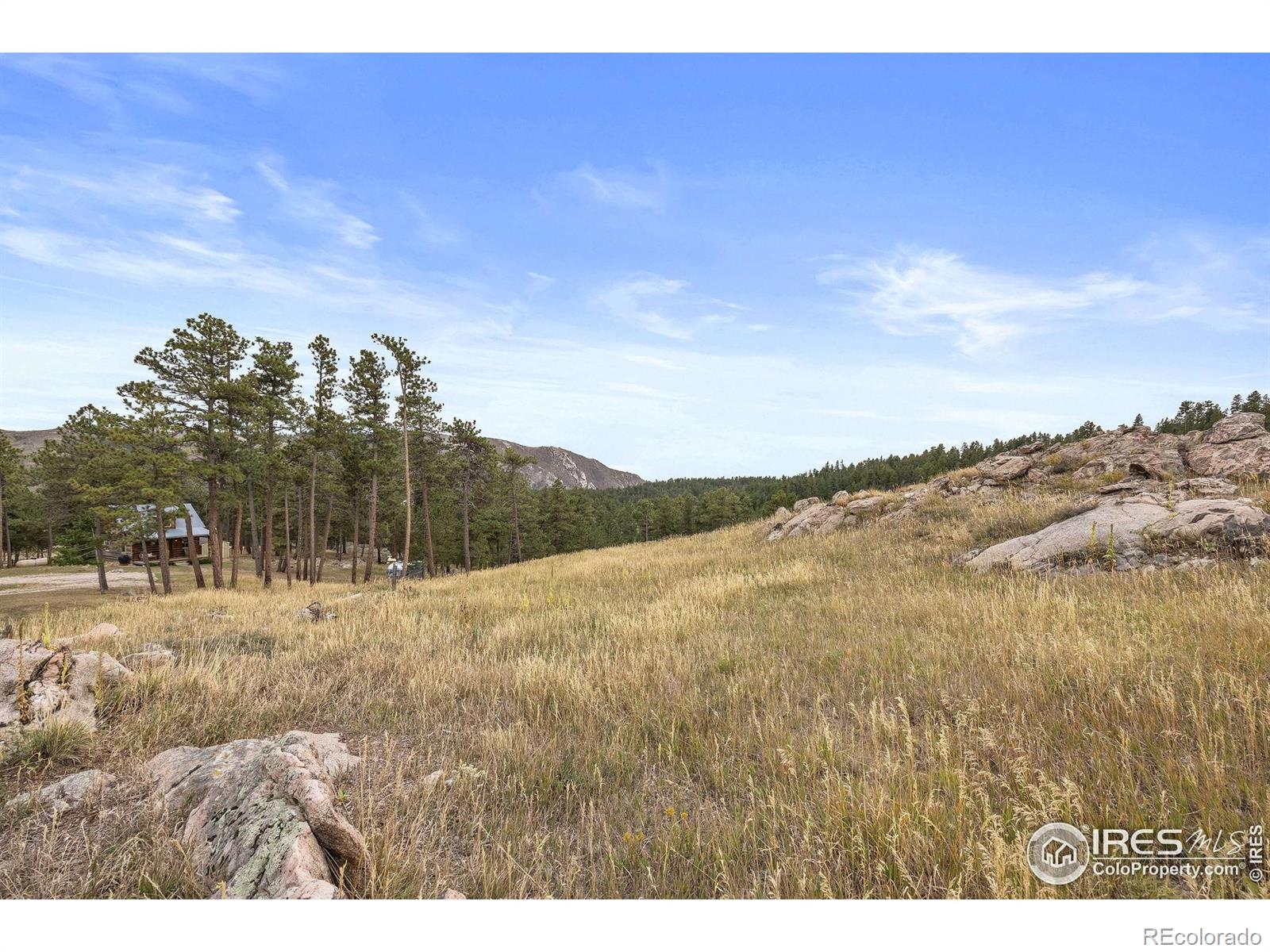 MLS Image #25 for 250  el arbol drive,bellvue, Colorado