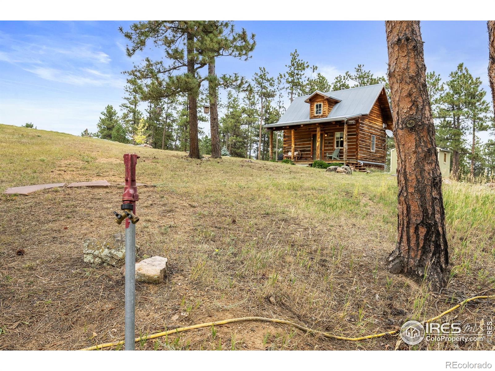 MLS Image #5 for 250  el arbol drive,bellvue, Colorado