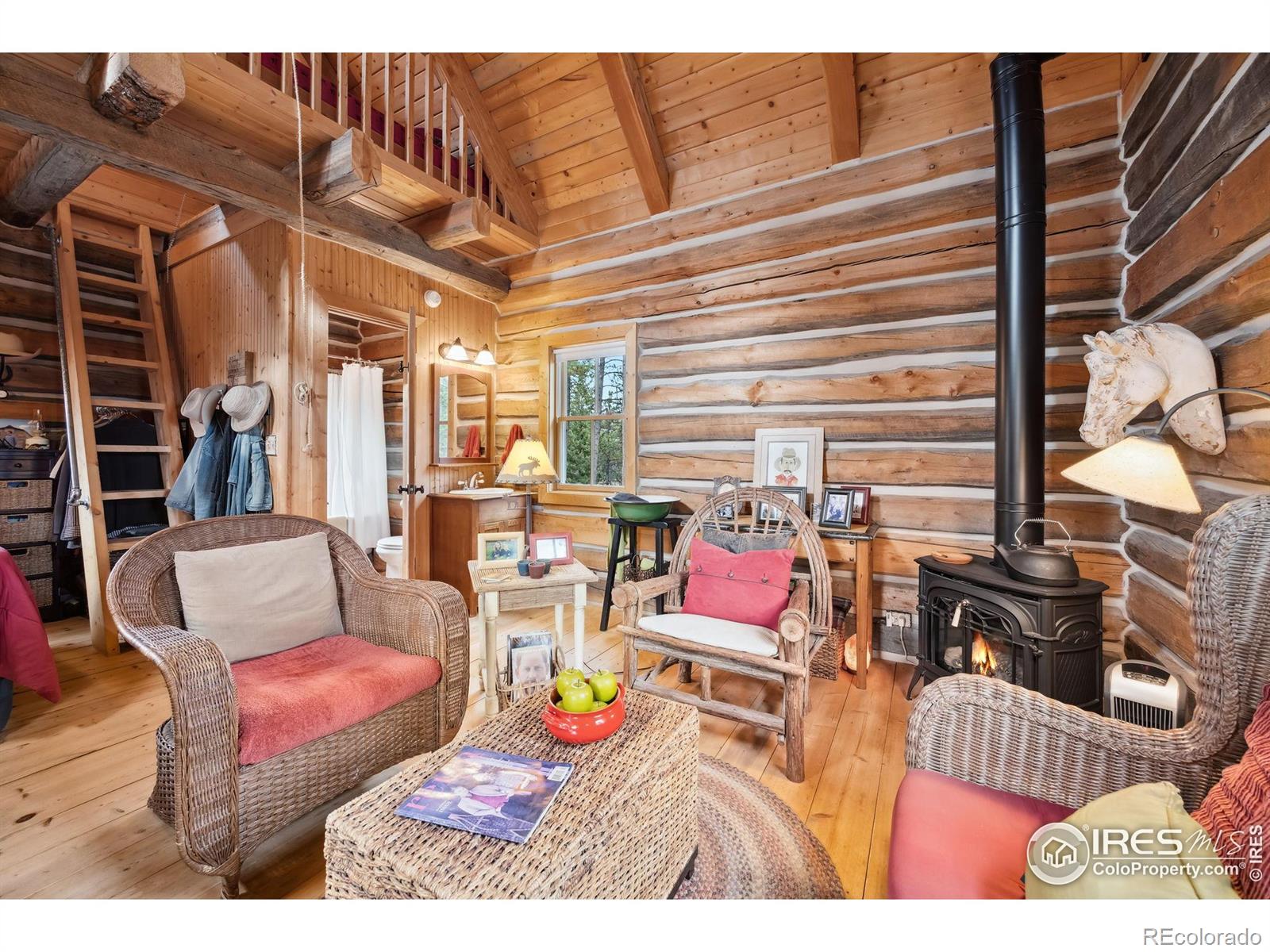 MLS Image #9 for 250  el arbol drive,bellvue, Colorado