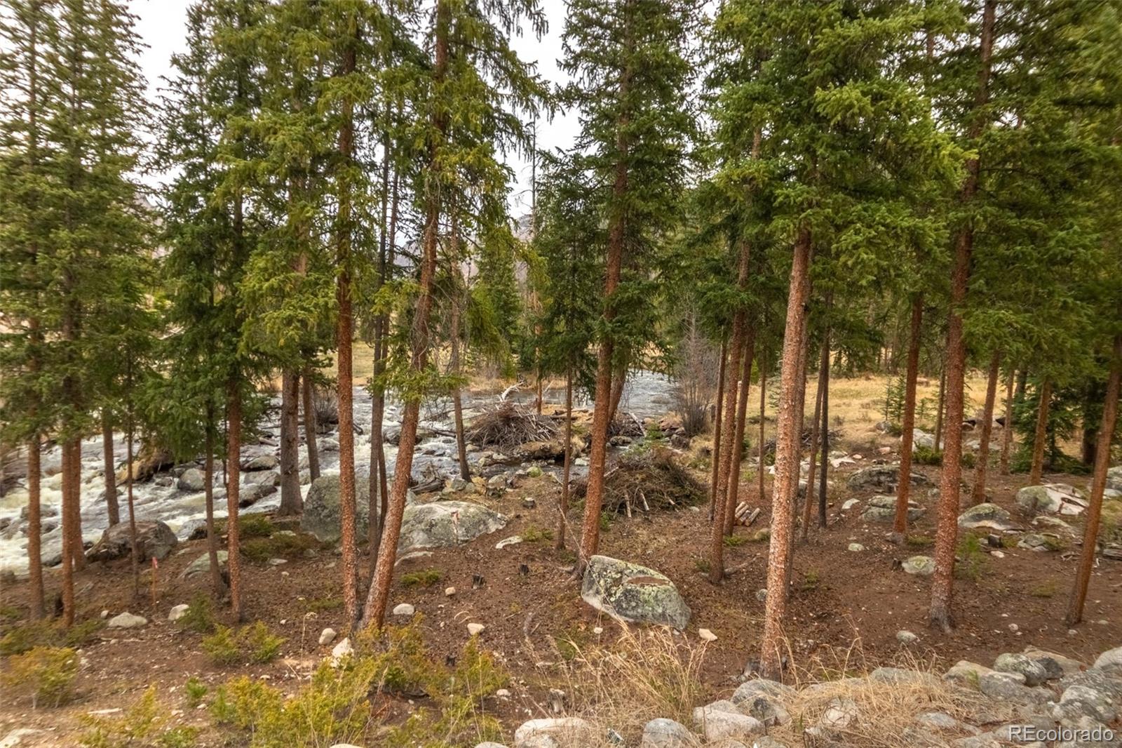 MLS Image #22 for 220  gcr 667 ,grand lake, Colorado