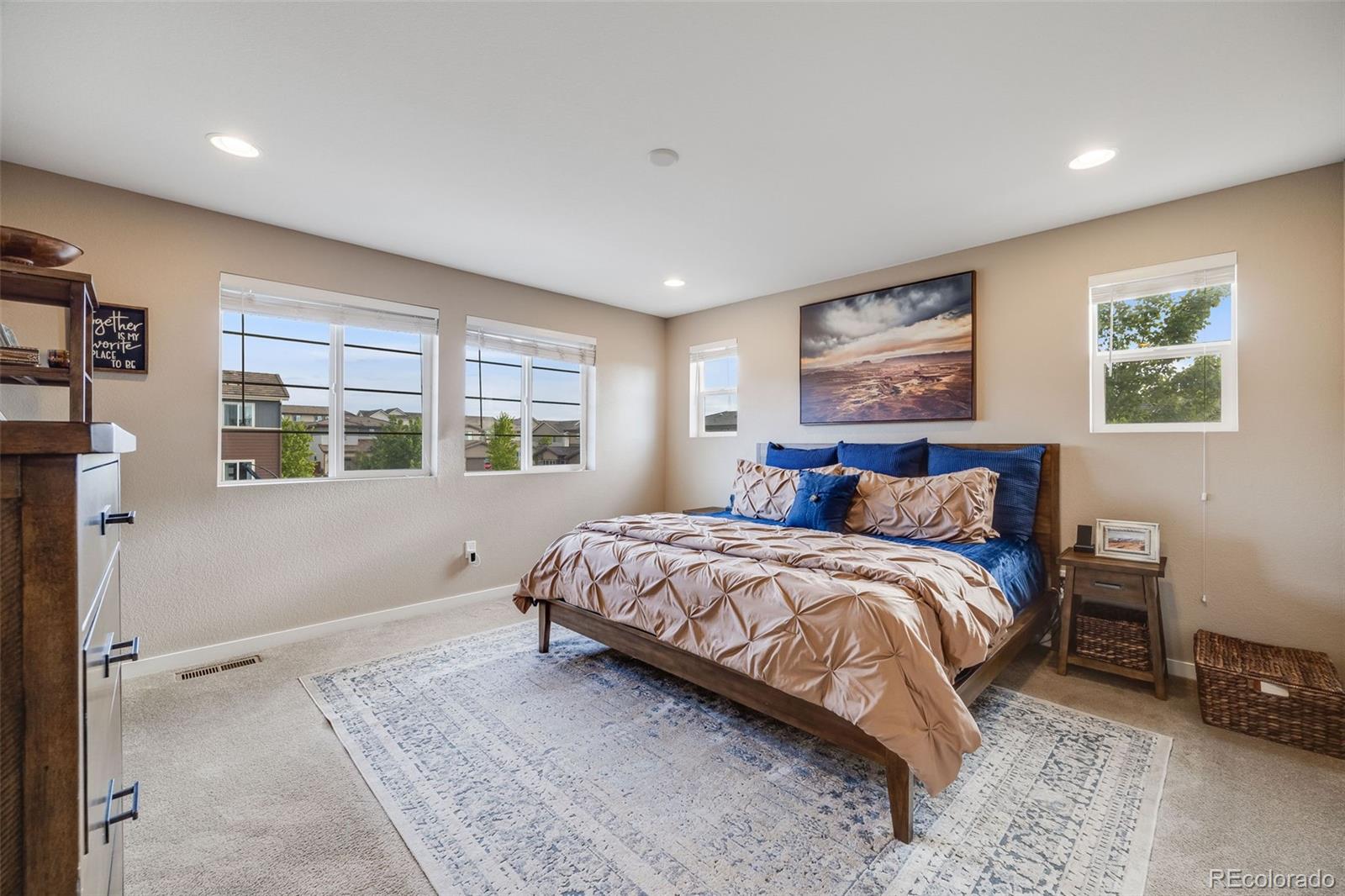 MLS Image #14 for 14384  big stone drive,parker, Colorado