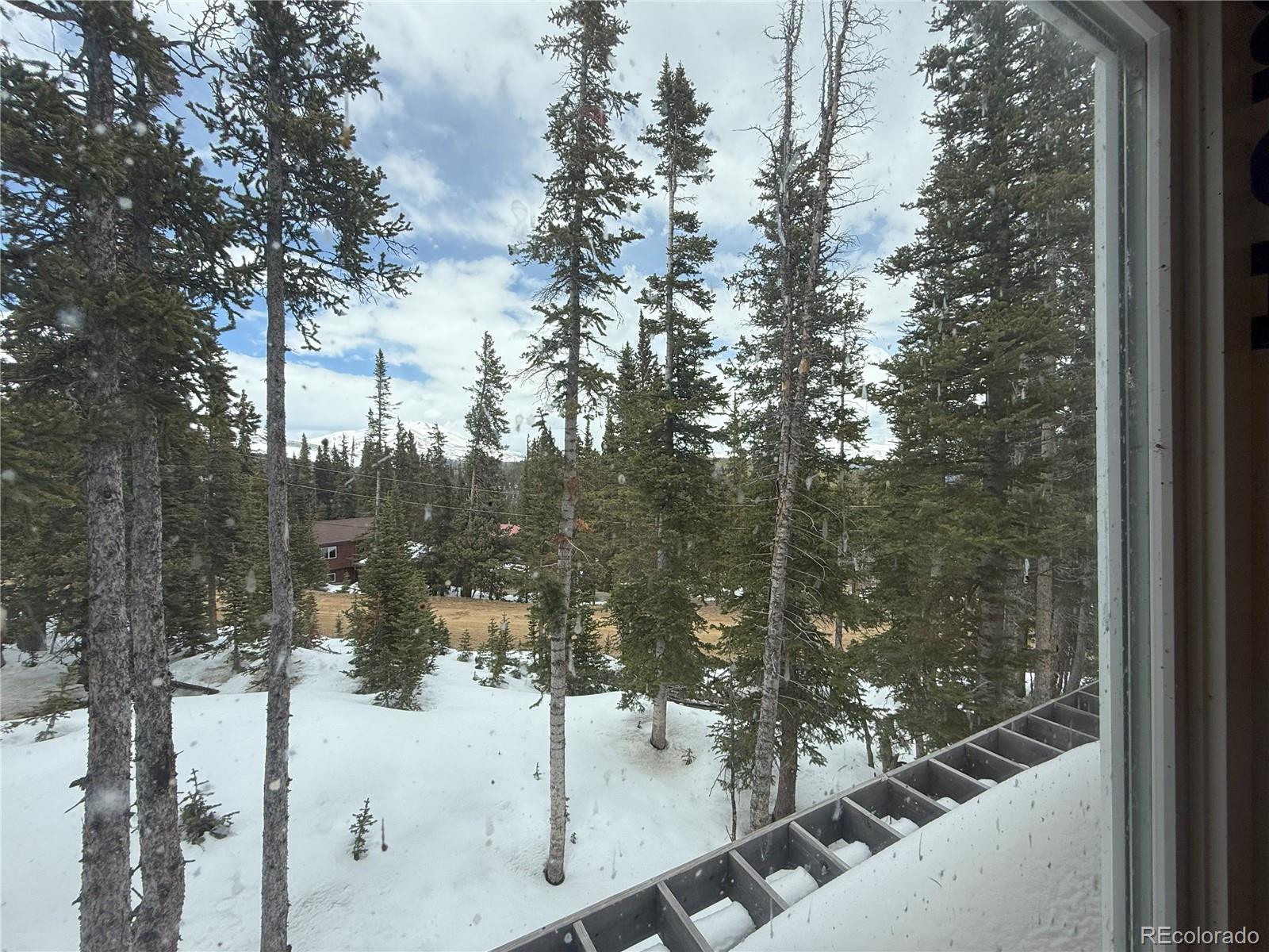 MLS Image #15 for 767  valley of the sun drive,fairplay, Colorado