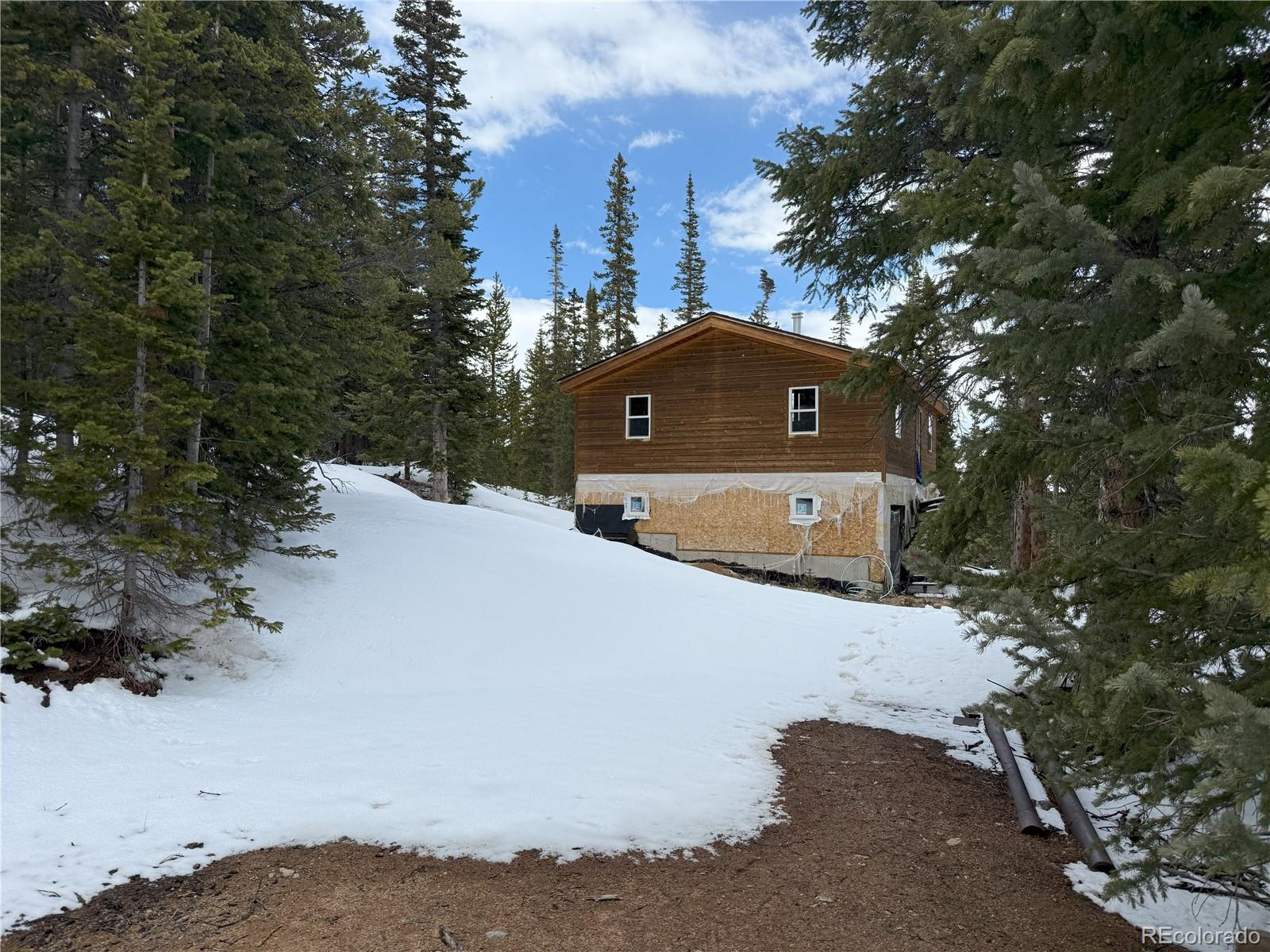 MLS Image #16 for 767  valley of the sun drive,fairplay, Colorado
