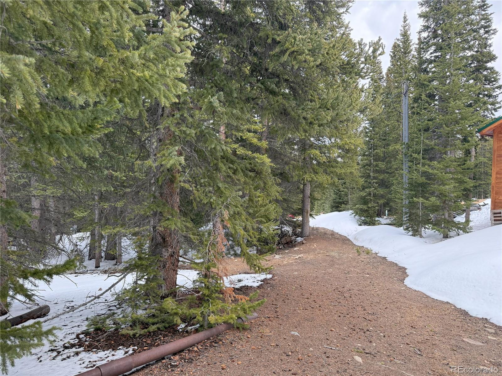 MLS Image #17 for 767  valley of the sun drive,fairplay, Colorado