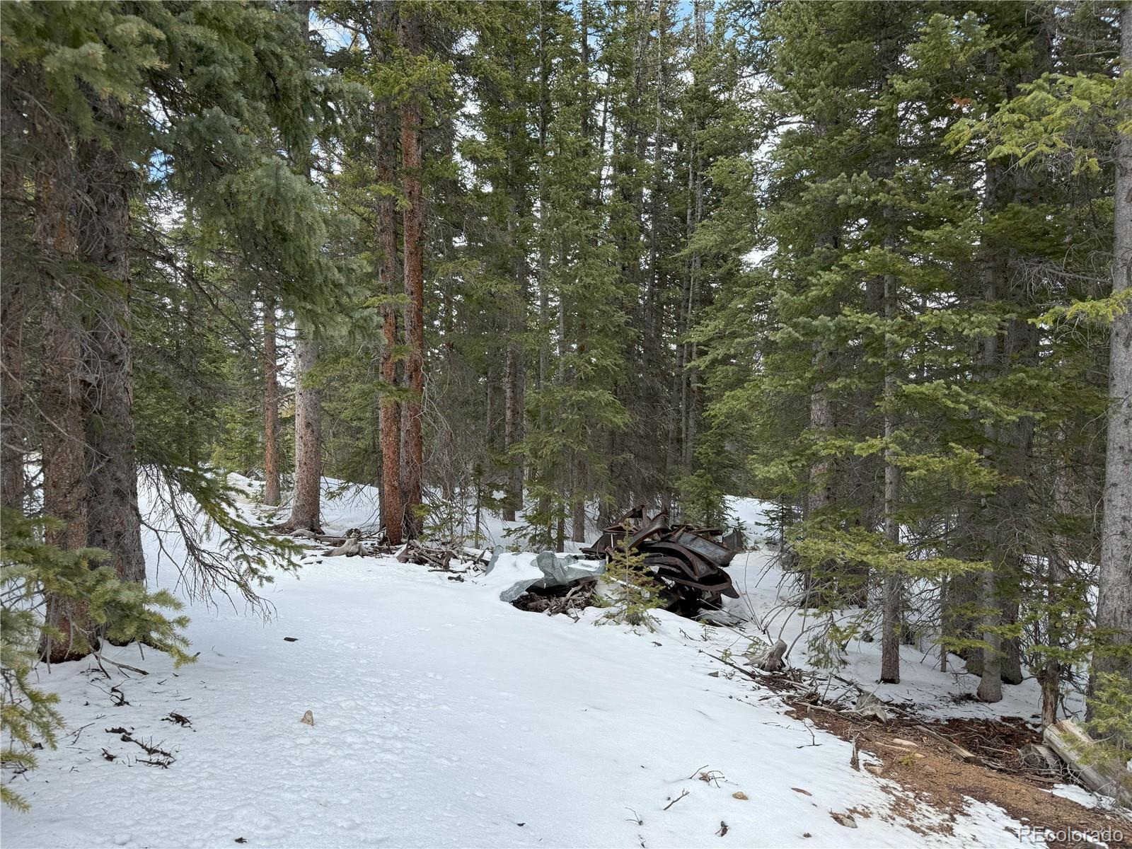 MLS Image #18 for 767  valley of the sun drive,fairplay, Colorado