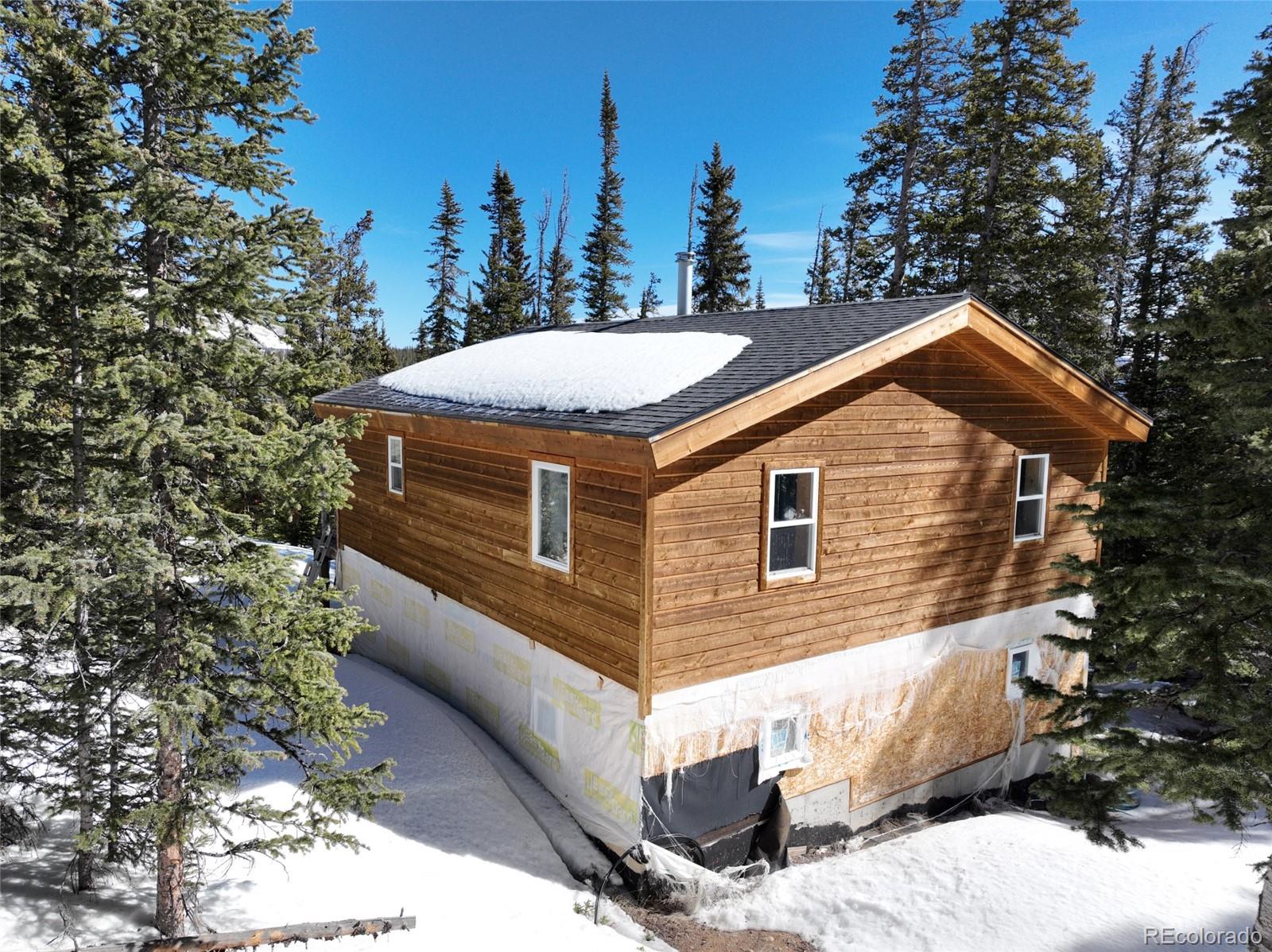 MLS Image #26 for 767  valley of the sun drive,fairplay, Colorado