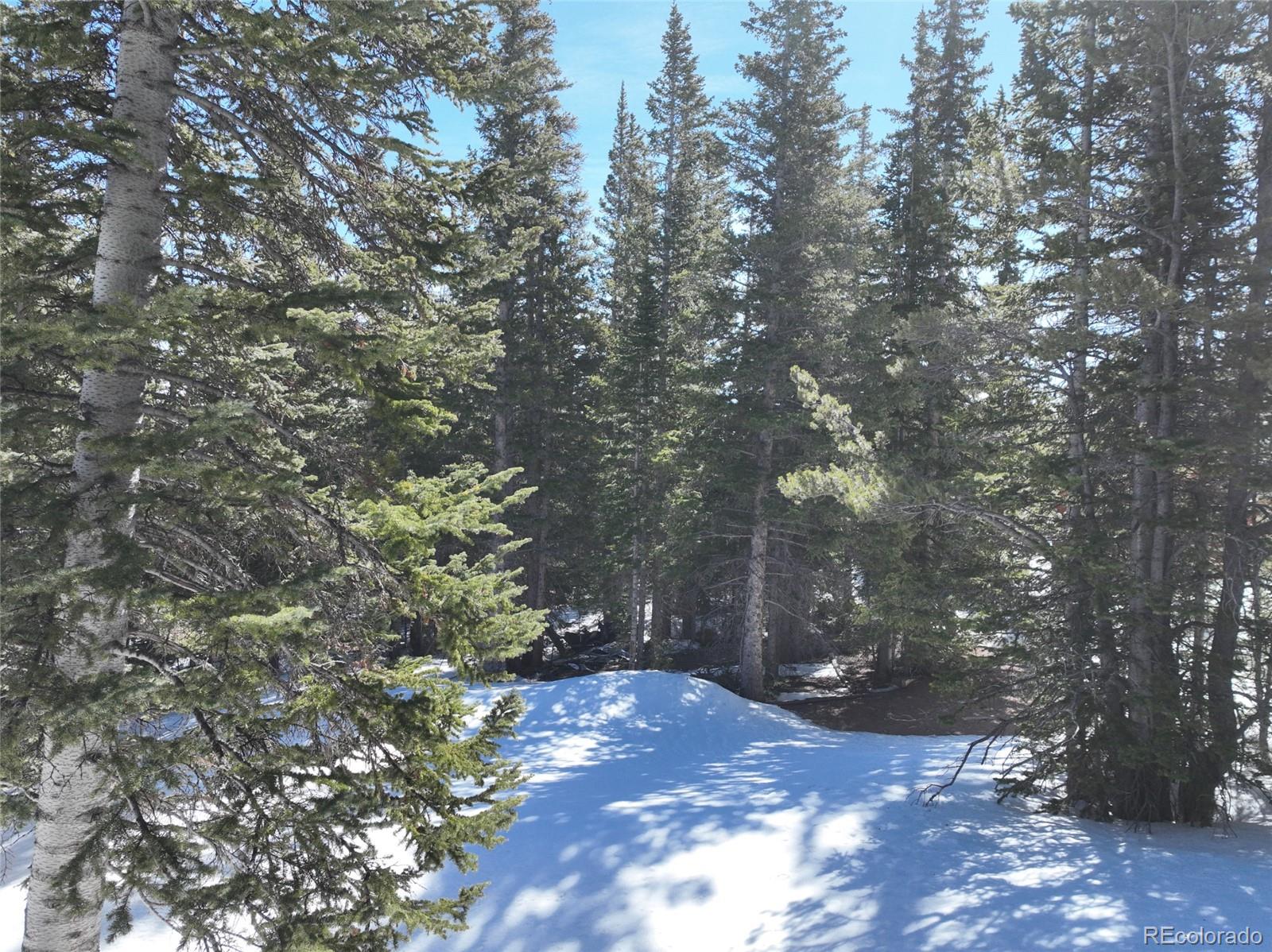 MLS Image #29 for 767  valley of the sun drive,fairplay, Colorado