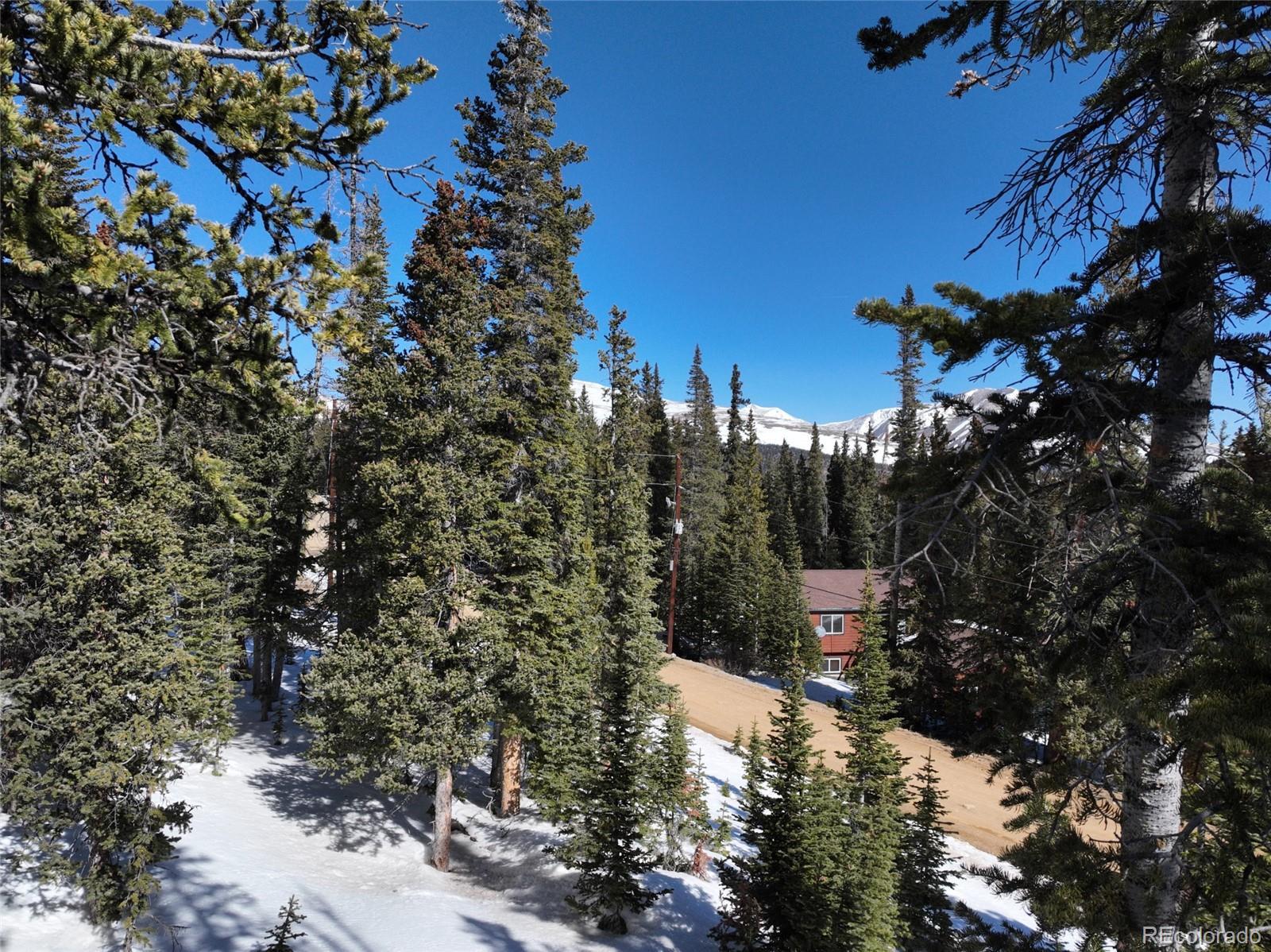 MLS Image #3 for 767  valley of the sun drive,fairplay, Colorado