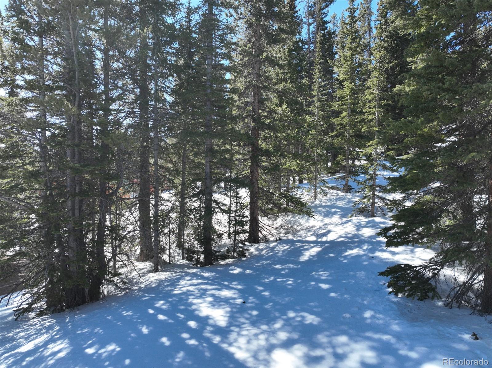 MLS Image #30 for 767  valley of the sun drive,fairplay, Colorado