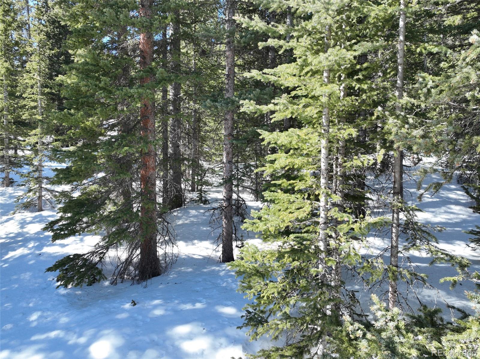 MLS Image #31 for 767  valley of the sun drive,fairplay, Colorado