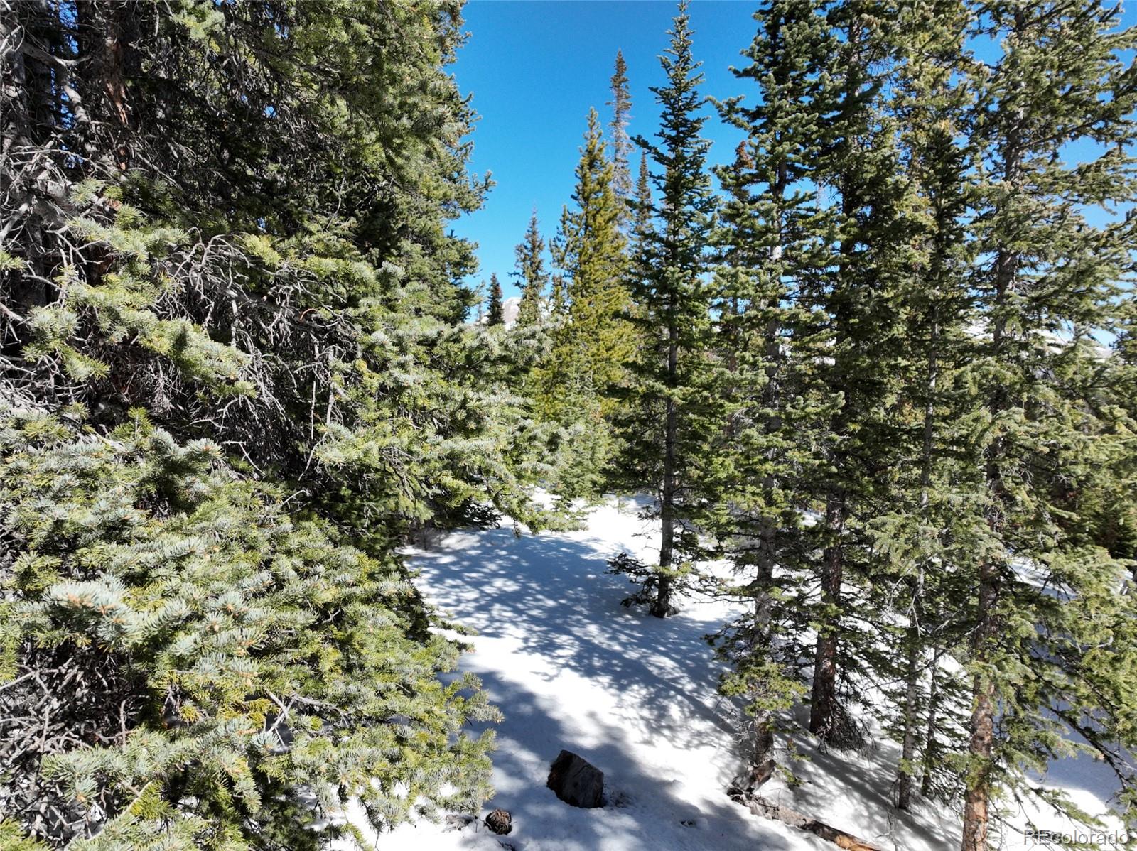 MLS Image #32 for 767  valley of the sun drive,fairplay, Colorado
