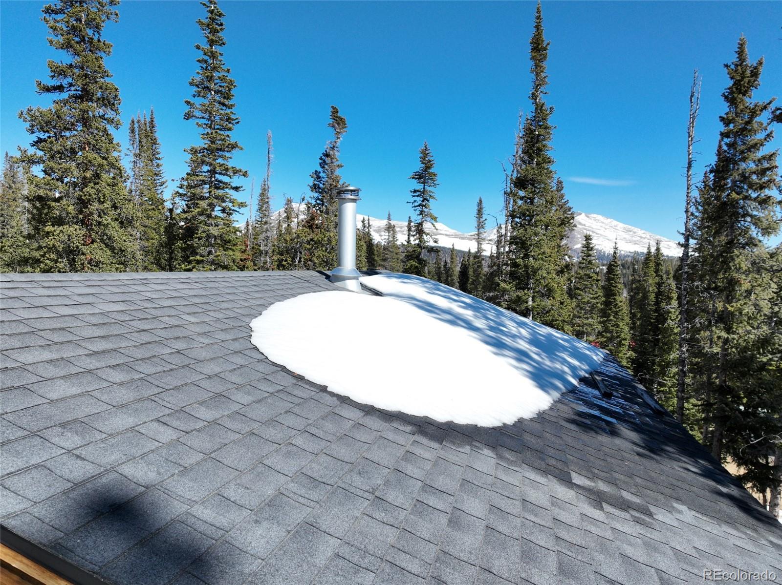 MLS Image #34 for 767  valley of the sun drive,fairplay, Colorado