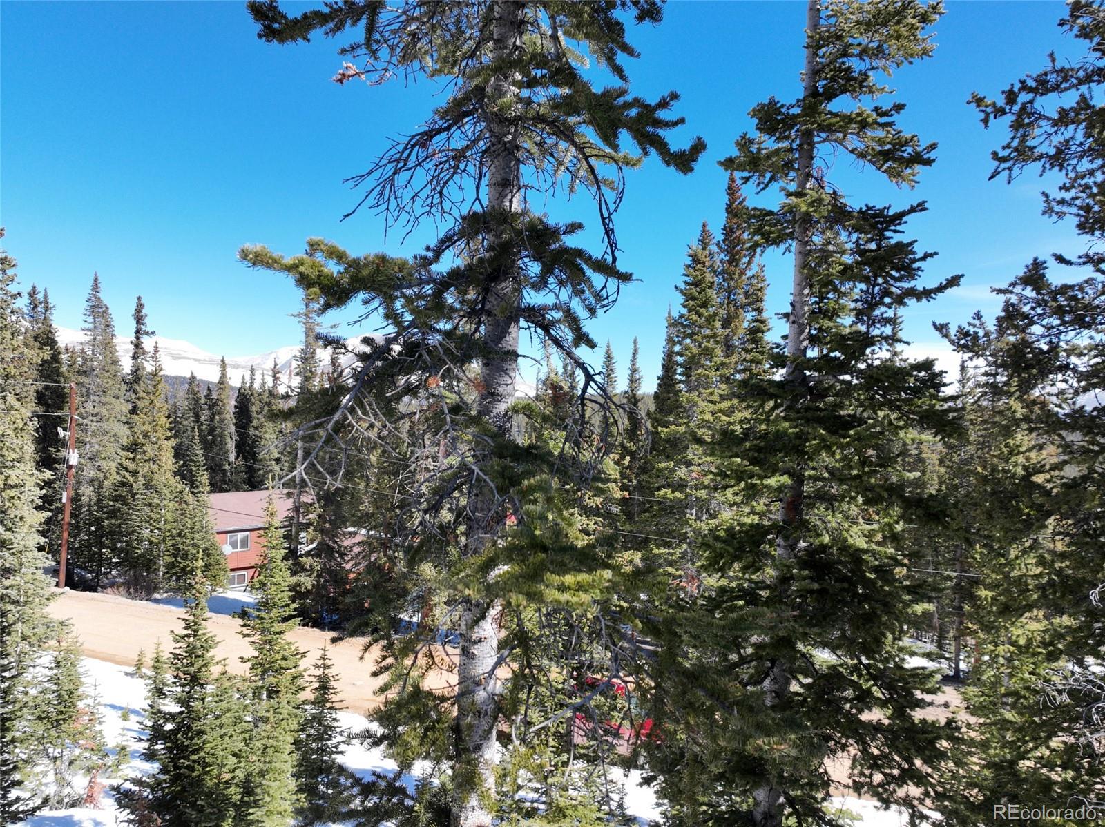 MLS Image #35 for 767  valley of the sun drive,fairplay, Colorado