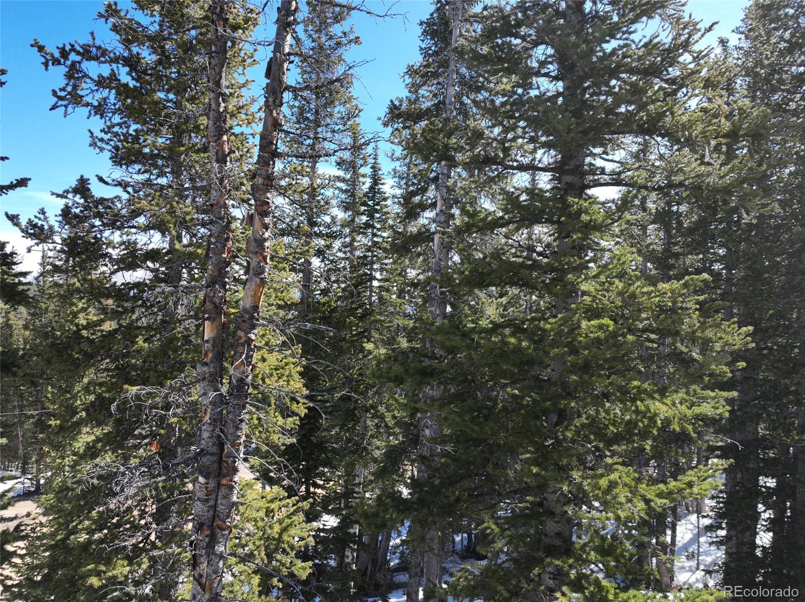 MLS Image #36 for 767  valley of the sun drive,fairplay, Colorado