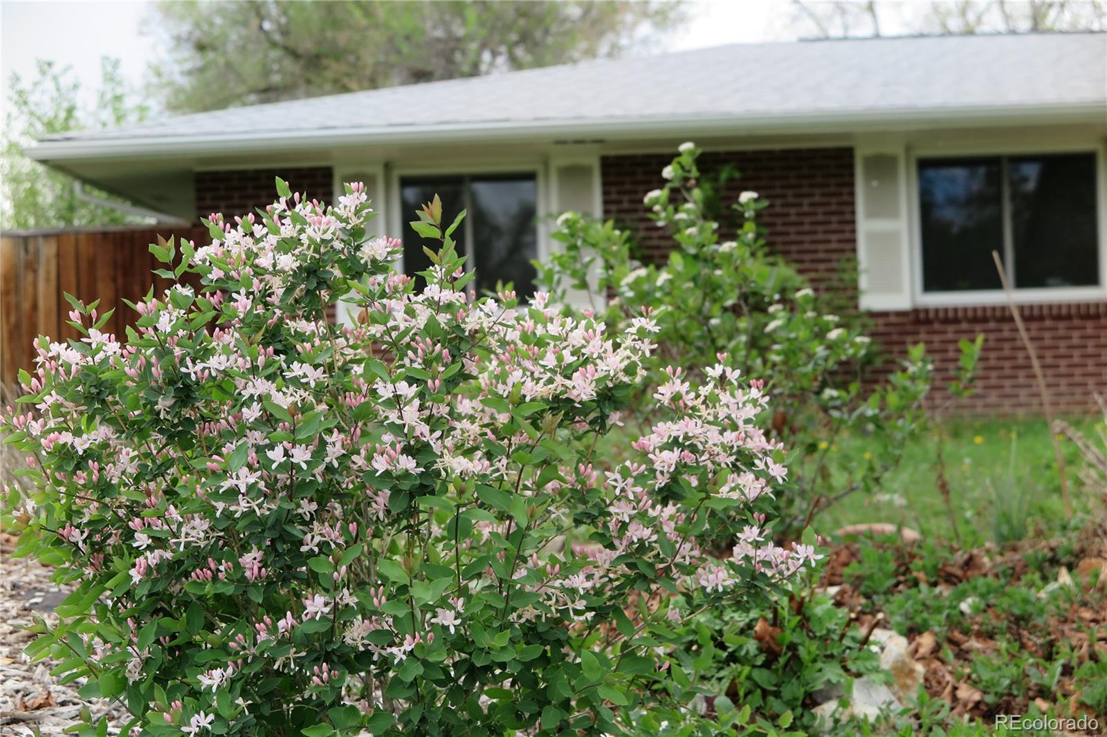 MLS Image #28 for 305  cottonwood court,longmont, Colorado